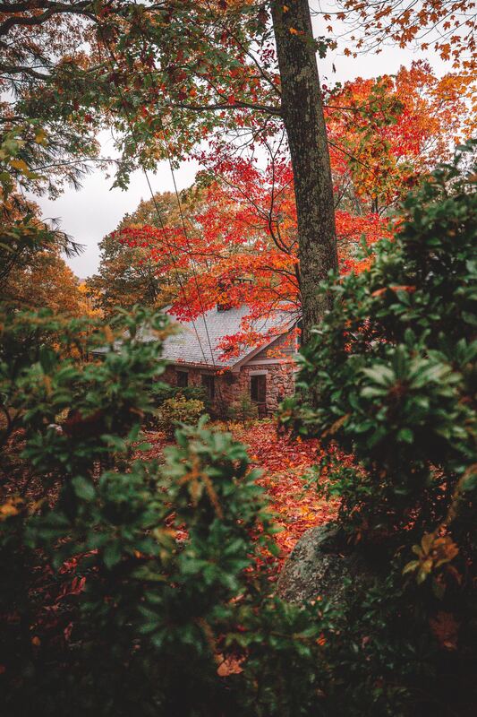 Photograph by Connor Kostyra