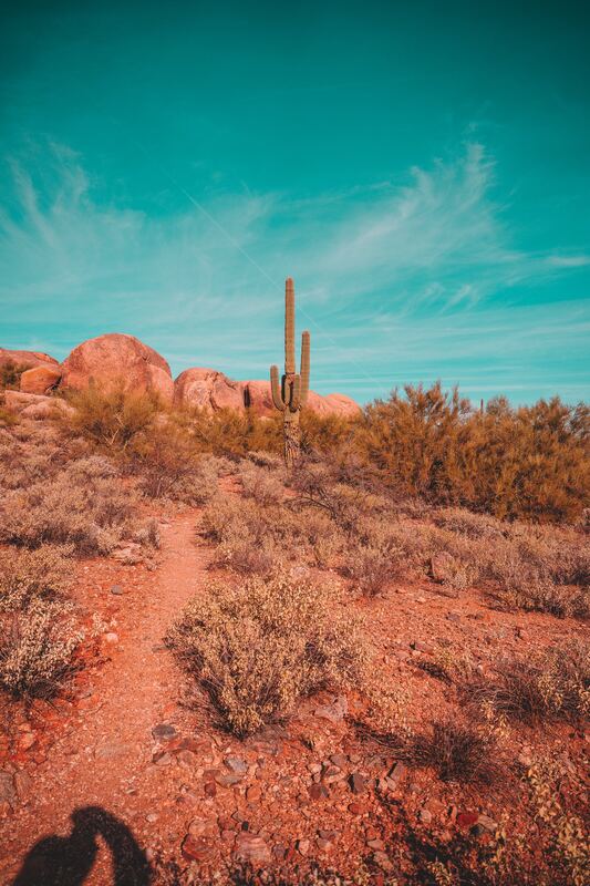 Photograph by Connor Kostyra