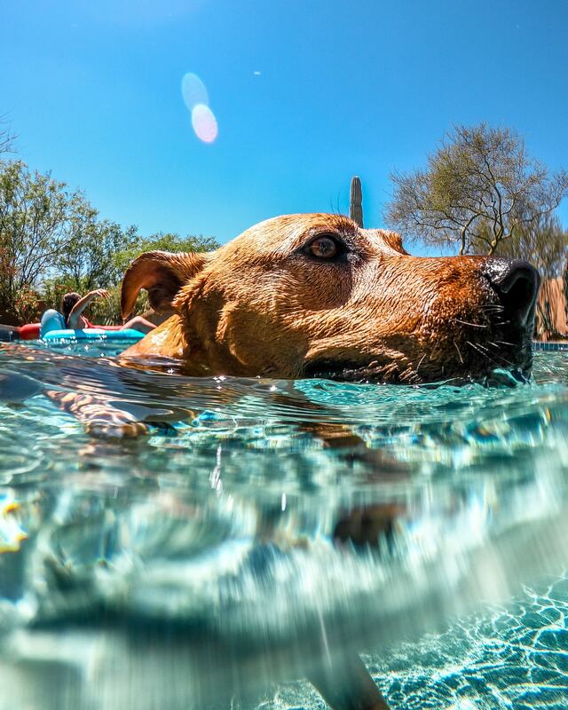 Photograph by Connor Kostyra