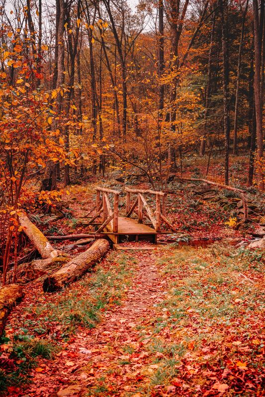 Photograph by Connor Kostyra