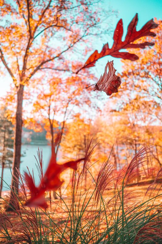 Photograph by Connor Kostyra