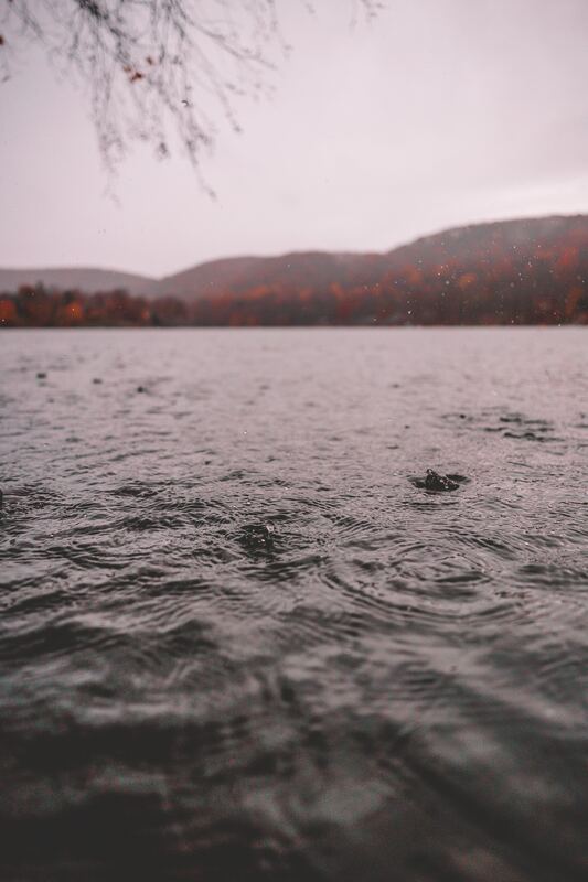 Photograph by Connor Kostyra