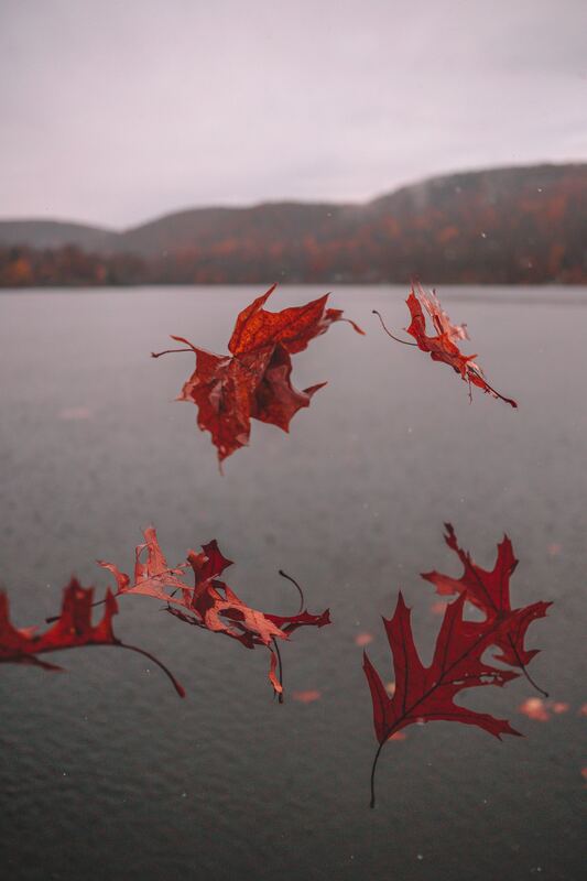 Photograph by Connor Kostyra